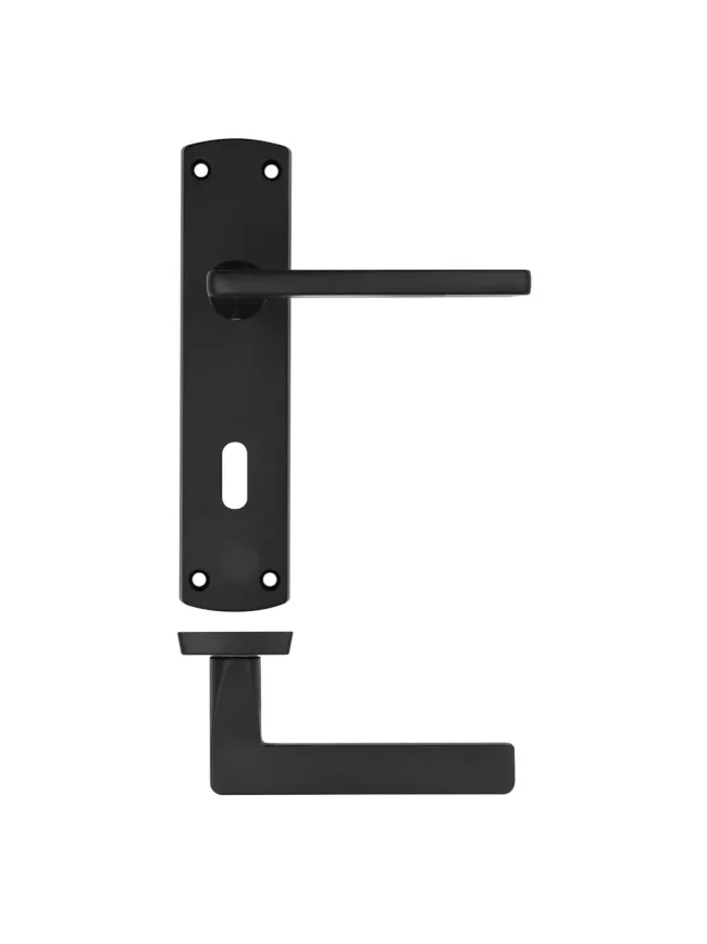 Zoo Hardware Leon lever on lock backplate - Matt Black