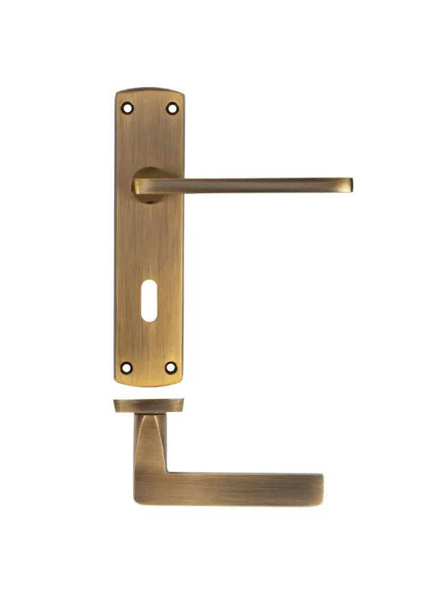 Zoo Hardware Leon lever on lock backplate - Antique Brass