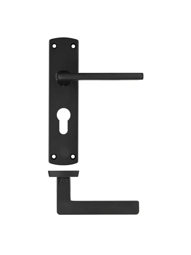 Zoo Hardware Leon lever on euro backplate - Matt Black