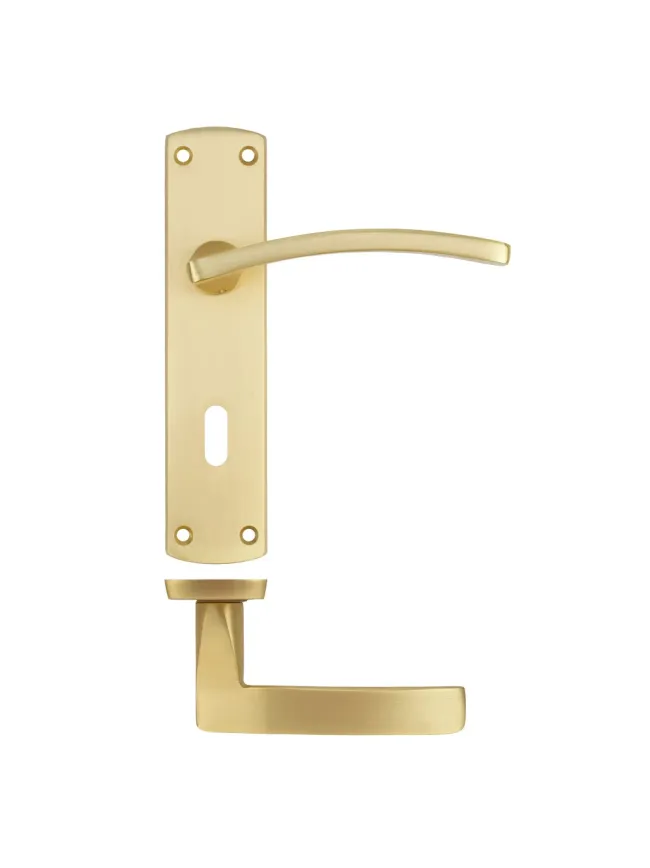 Zoo Hardware Toledo lever on lock backplate - Satin Brass