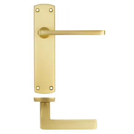 Zoo Hardware Leon lever on latch backplate - Satin Brass
