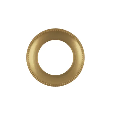 Zoo Hardware Spare Tempo Lever Round Rose Pack - Antique Brass