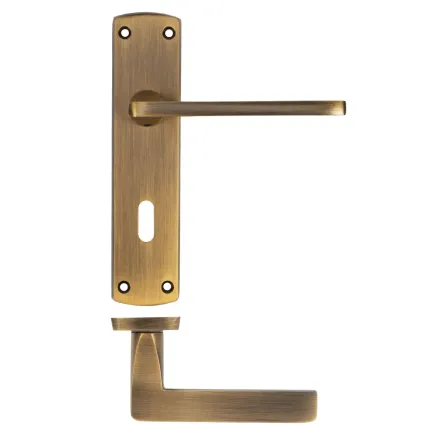 Zoo Hardware Leon lever on lock backplate - Antique Brass