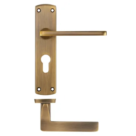 Zoo Hardware Leon lever on euro backplate - Antique Brass