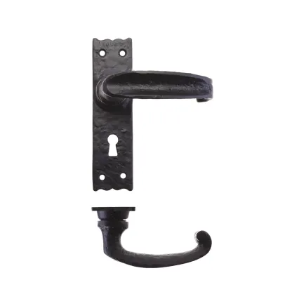 Zoo Hardware Traditional Slimline Thumb Lever on Lock Backplate - - Black