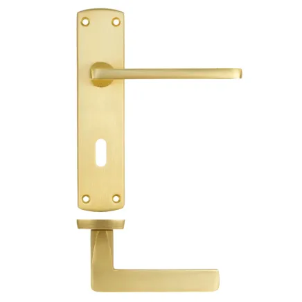Zoo Hardware Leon lever on lock backplate - Satin Brass