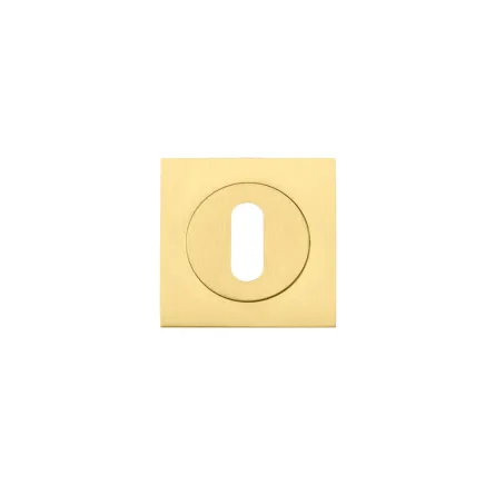 Zoo Hardware Square standard profile escutcheon - Favo Satin Brass