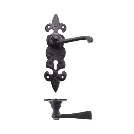 Zoo Hardware Lever on Fleur de Lys Lock Backplate - Black