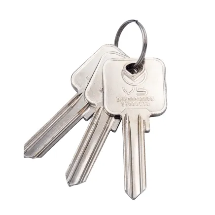 Zoo Hardware 5 Pin Square Key Blanks