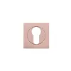 Zoo Hardware Square euro profile escutcheon - Tuscan Rose Gold