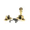 Aged Brass Beehive Brighton Fastener (Radiused)