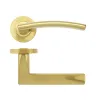 Zoo Hardware Amalfi lever on round rose - Favo Satin Brass