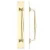 Zoo Hardware Pull Handle on Backplate - Brass