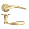 Zoo Hardware Merida lever on rose - Satin Brass