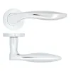 Zoo Hardware Cadiz lever on rose - Polished Chrome