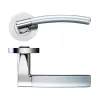 Zoo Hardware Amalfi lever on round rose - Polished Nickel / Satin Nickel