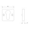 Square Euro Escutcheon - Forged Steel