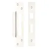 Zoo Hardware Spare Acc Pk for UK Sash Locks - *BLANK* - contains Forend, Strike and Fixing Screws - Nickel