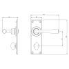 Pastow Lever Handle on Backplate (Bathroom - Left Hand)  - Forged Steel