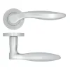 Zoo Hardware Cadiz lever on rose - Satin Chrome