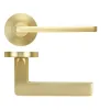 Zoo Hardware Leon lever on rose - Satin Brass
