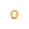 Zoo Hardware Euro profile escutcheon - Favo Satin Brass