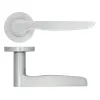 Zoo Hardware Vigo lever on rose - Satin Chrome