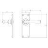 Pastow Lever Handle on Backplate (Latch/Passage) - Forged Steel
