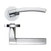 Zoo Hardware Amalfi lever on round rose - Satin Chrome / Polished Chrome